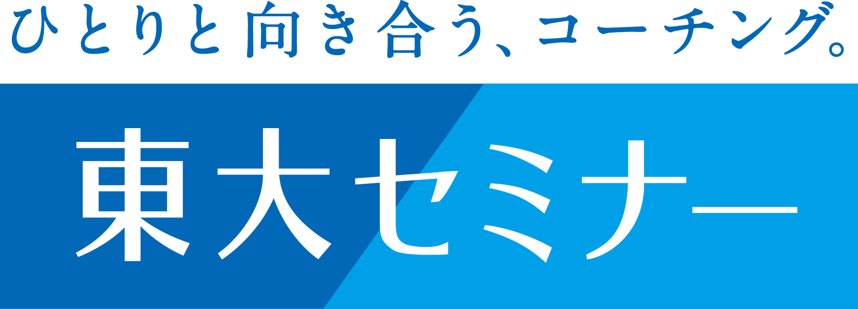 東大セミナー